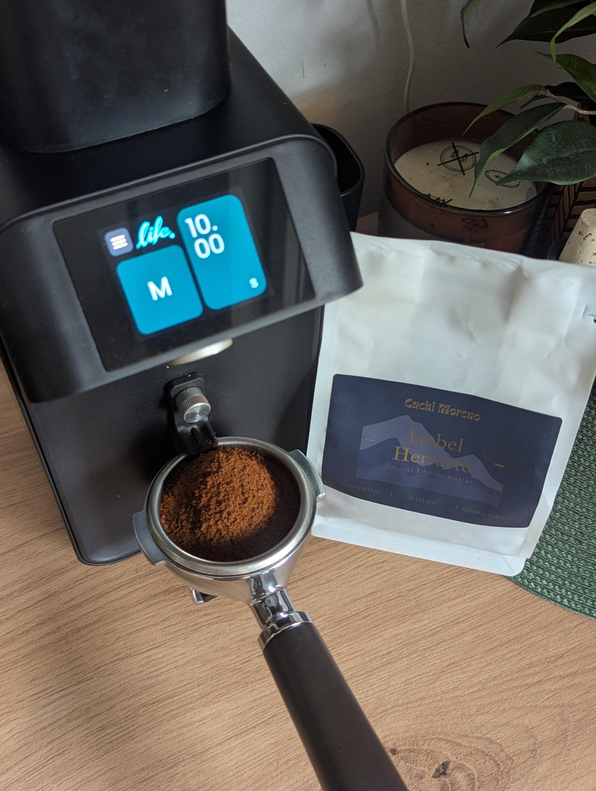 Guatemala ISABEL HERRARTE Geisha