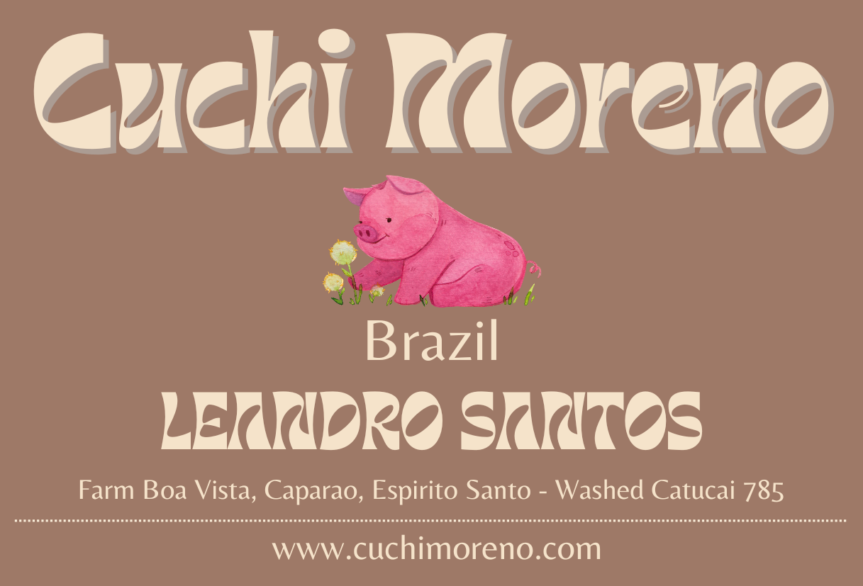 Brazil - LEANDRO SANTOS