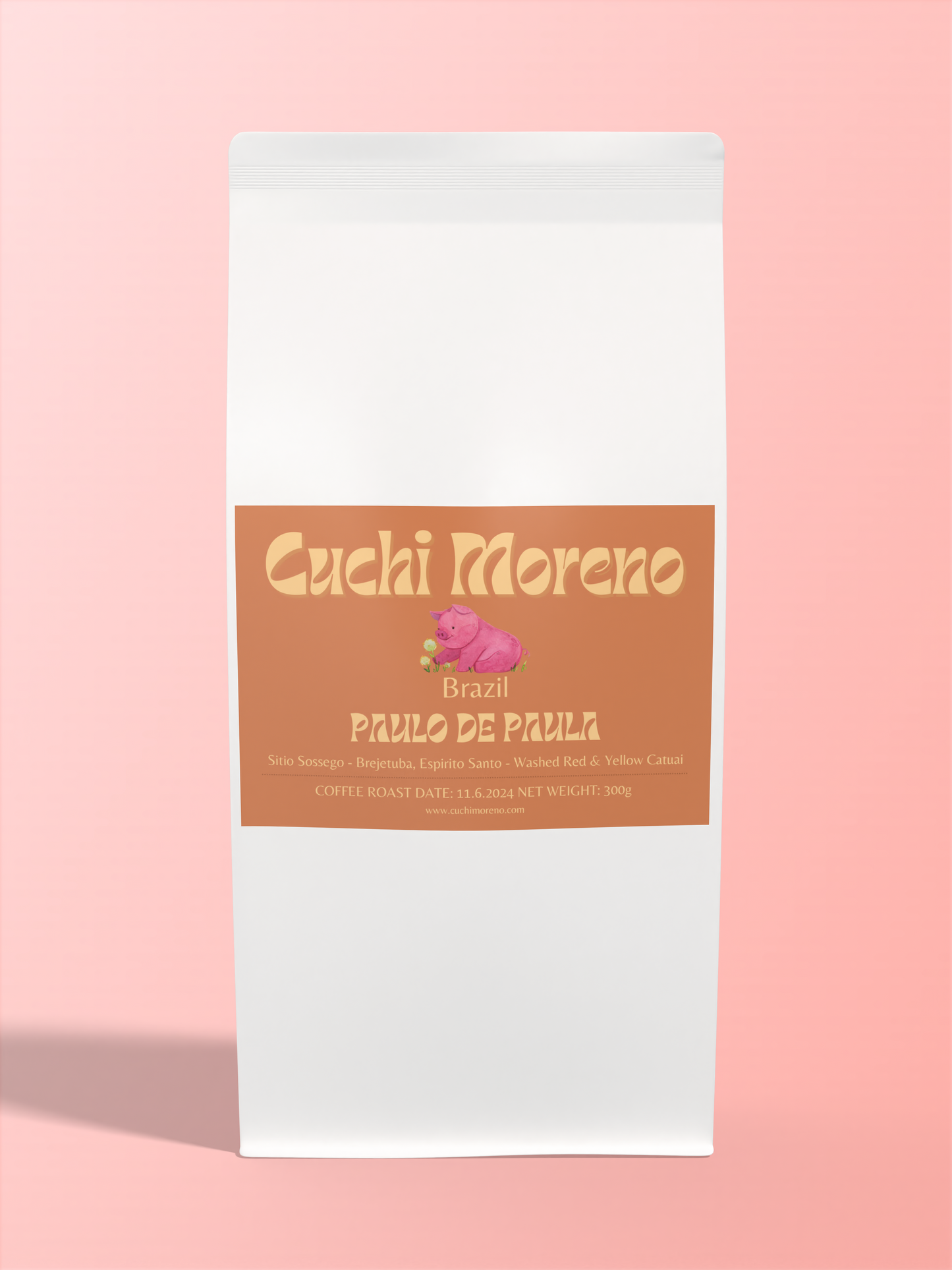 Brazil PAULO DE PAULA