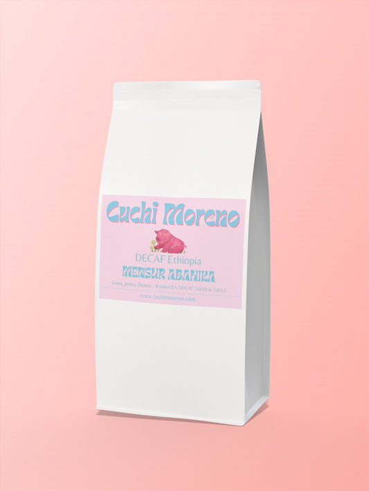 DECAF Ethiopia MENSUR ABAHIKA 2025